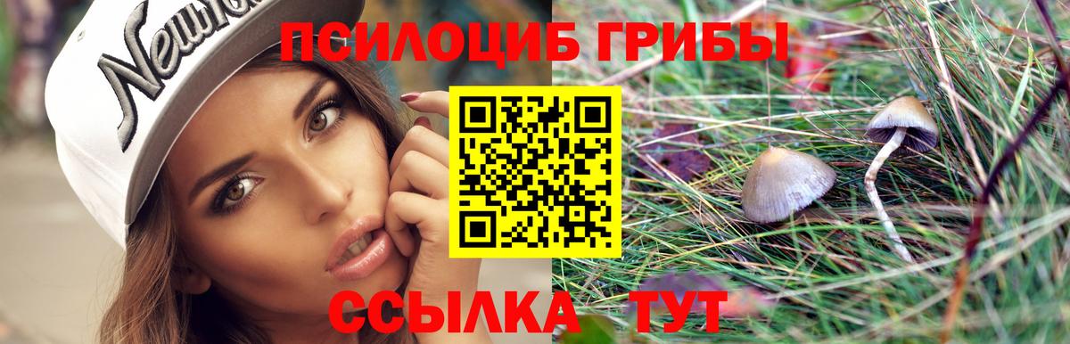 купить наркоту  Вход с VPN  Галлюциногенные грибы Magic Shrooms  Лосино-Петровский  Галлюциногенные грибы Psilocybe 